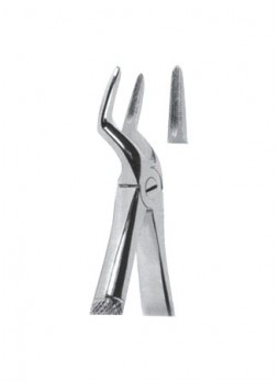 Extracting Forceps